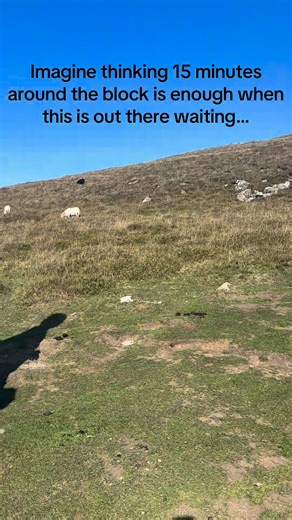 Sharing your life with a dog is a privilege, not a right. Training them isn’t all about fancy obedience or fun tricks (while both have their place!) - it’s about connection, communication, and giving them the freedom to safely experience as much of our world as possible. When you train with clarity and consistency, their world gets bigger… and so does yours 🐾 🌲 🥾 | Mutt and Mongrel