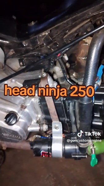 Vega Head Ninja 250: Modifications and Features