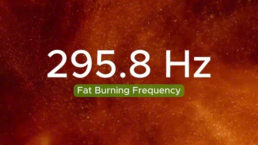 295.8Hz 自用冥想