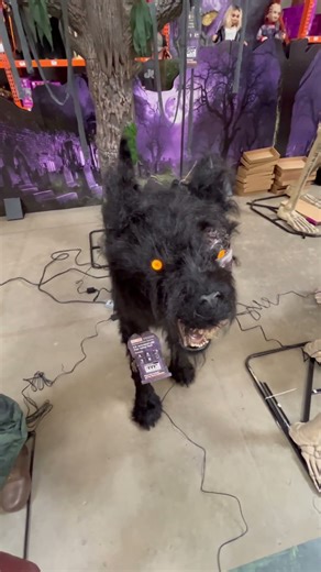 Fear Valley Wolf In Store Demo