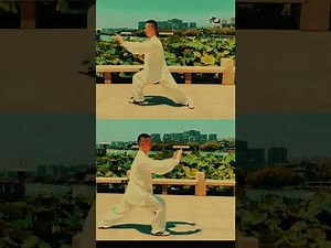 24 Form Taichi Complete Tutorial — Front and Back View for Every Move