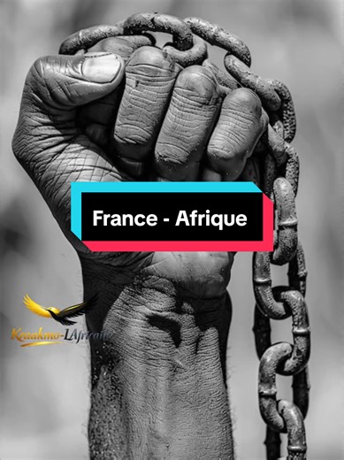 Sommet France - Afrique.... Emmanuel Macron