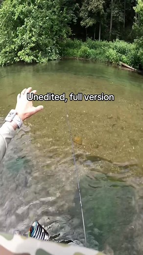 Guide to Fly Fishing Techniques and Tips