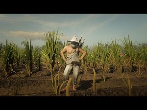 RDR2 Online - Farmer outfit