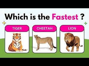 Quiz for Kids 🧠 | 15 Fun Questions with Answers | Educational Quiz Game