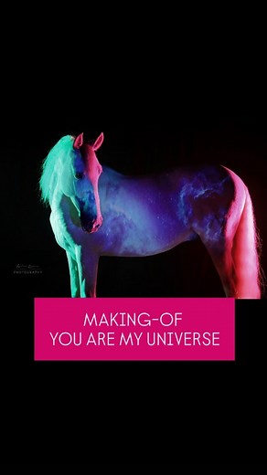 11K reactions · 944 shares | Which image is your favourite? Out of my "Beaming Horses" series ✨️ Models: Encantador & Quetal @anikabardenhagen @kerstinhilmer #beaminghorses #pferdefotografie #equineart #makingof #equinephotography #horsephotography | Andrea Zachrau Photography | Facebook