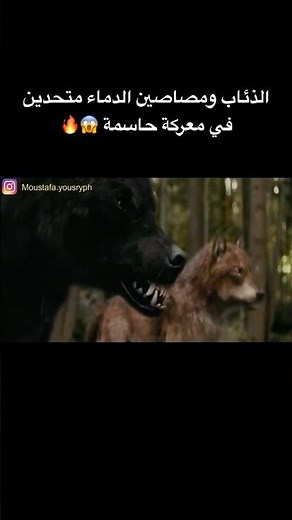 ملخص فيلم Twilight 3: المعركة اللي غيرت مصير بيلا وإدوارد للأبد 9 ! #teamkhalook #teamkhalook
