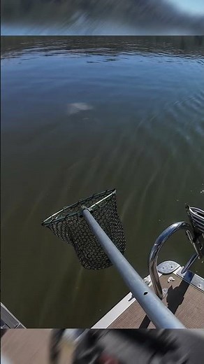 Trout Trix Worm Absolutely Crushed It | Collins Lake #fishing #technique