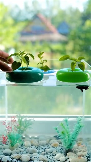 Pump Up Your Gardening Techniques #garden #lifehacks #hacks #ideas