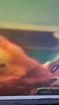 Bear in the Big Blue House - Springtime, Oh Springtime