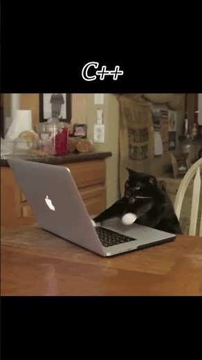 Cu piesa asta am distrus c++