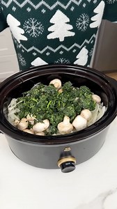 The best crockpot dinner I make a chicken and rice dinner in my slow cooker. | Rick's Friend Justine