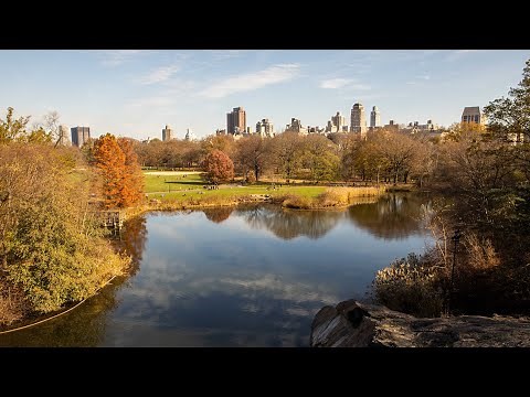 iPhone 12 Pro Max - HDR Dolby Vision Video Test - 4K 60fps