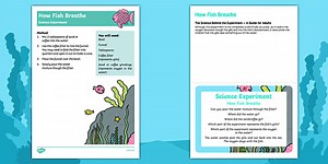 EYFS How Fish Breathe Science Experiment and Prompt Card Pack