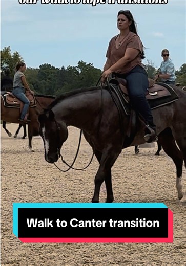 Had to hop on the trend since I’m riding my horse for once🤪🐴 #FirstThingzFirst #walktocanter #lope #westernpleasure #stallionsoftiktok #aqhastallion