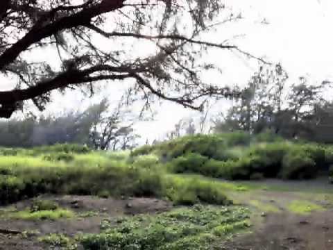 Supporting Students with Emotional & Behavioral Disabilities