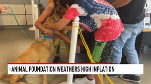 Inflation making it more expensive to own a dog