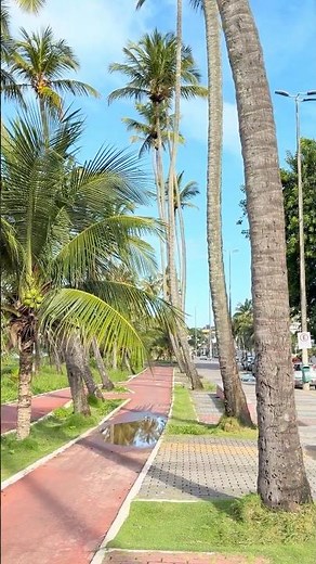 The most beautiful coastline in João Pessoa? 🌴😍 Cabo Branco Beach is amazing!