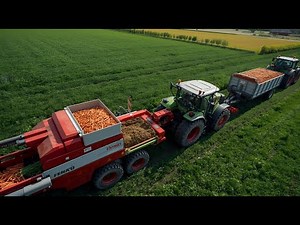 How Russian Farmers Harvest Millions of Tons of Carrots | Agricultural Documentary