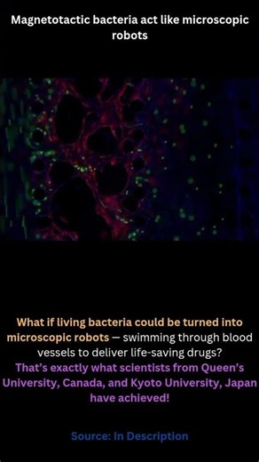 Living Microrobots That Swim Through Blood Vessels! 🧬🧲