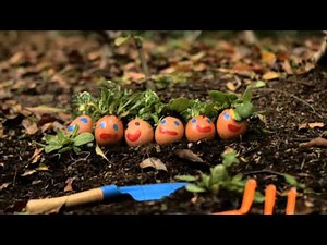 Sesame Street: Episode #4611: G Is for Garden (HBO Kids)