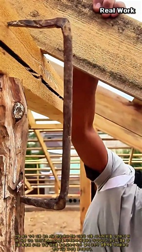 전통 목조 지붕 골조 강철 꺾쇠 체결 작업 #worker #process #woodworking #carpentry #roofing
