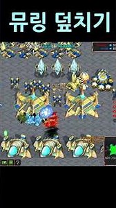 Mutalisk-Ling Rush