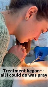 The Newborn Kitten Was Barely Alive… Until She Found It!