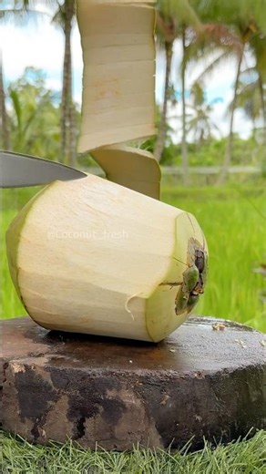From Simple Coconut to Premium Value