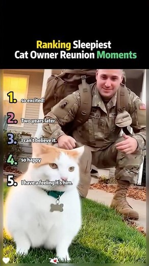 🐈 How can I express my love when I see my dad? I rub against him and purr loudly! #cat #cut