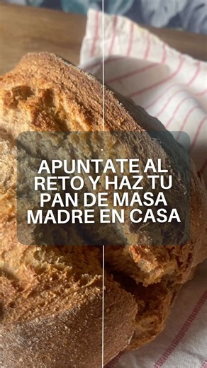 ¿Quieres aprender a hacer pan de masa madre en casa? Apúntate al reto!