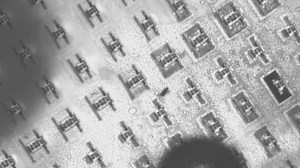 A Nature paper describes the creation of an army of walking, microscopic four-legged robots. This achievement is the result of the development of a new class of actuator that is compatible with existing silicon electronics. Read the paper: https://go.nature.com/3b5DQqf | Nature Portfolio