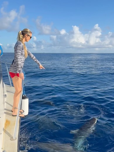 352K views · 98 reactions | Ocean Ramsey on Reels | Facebook