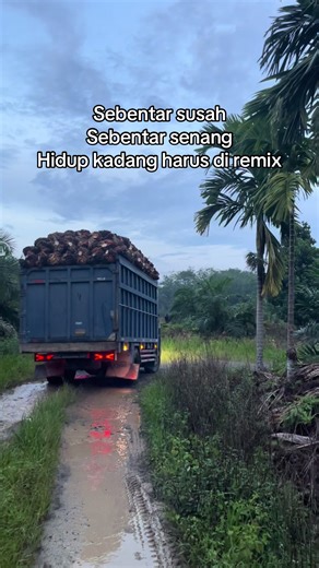 #truck #fyp #trucksawit #katakatatruk