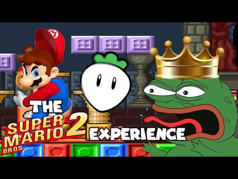 The Super Mario Bros 2 Experience
