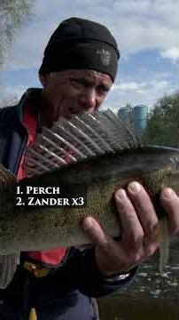 Unhabitable by humans, but fish can still call Chernobyl home 😮