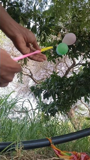 Tree Balloon Shooting Challenge 😎🔥 #viral #shorts