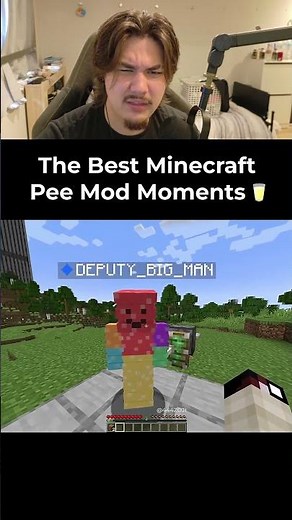 Best MINECRAFT pee mod