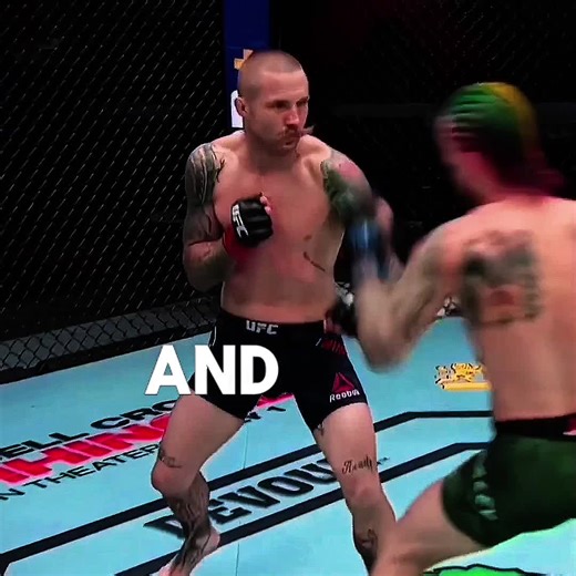 Exciting Sean O'Malley UFC Highlights Compilation