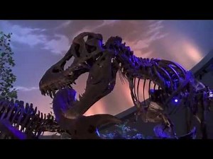Dinosphere @ Indianapolis Children's Museum