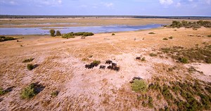 221 reactions · 33 shares | Namibia : The Land Of Many Faces By :...