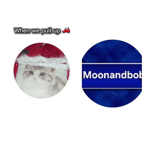 Big back bully 1 big back bully 2 #dontbully #bullybusters