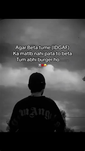 Understanding the Meaning of 'IDGAF' | Explained with a Burger Analogy