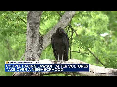 Vulture swarms in NC neighborhood escalates to town lawsuit