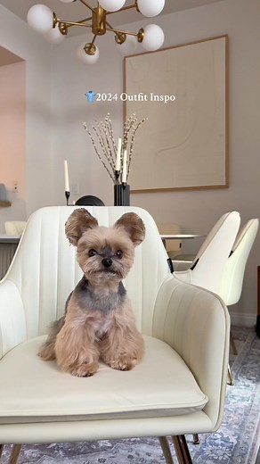 Which outfit’s your favorite? 👕🐥 #duckytheyorkie #yorkiesoftiktok #dogsoftiktok #dogfashion #yorkie #yorkielife #yorkielover #yorkiemom #yorkies #dogclothes