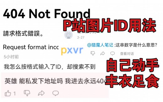 【沫影】P站ID到底怎么用？本视频将以最简单明了的方式教你如何查看ID图片！