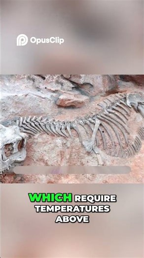 Libyan Desert Glass Origin: Meteorite or Comet?