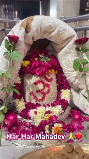 Live Darshan of Lord Mahadev Today – Divine Vibes & Blessings ✨Har Har Mahadev ❤️❤️🙏🙏