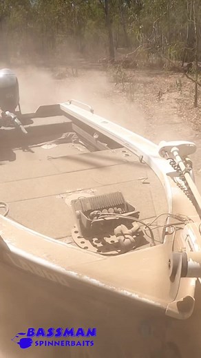 Ultimate Guide to Fishing with Bassman Spinnerbaits