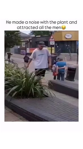 MOVIE FUN 🍿 on Instagram: "This video is a short, humorous clip showing a prank where people use a blade of grass to make a whistling sound that mimics a human cry or scream, startling passersby in a public area.The scene takes place on a sidewalk in a town center, with shops and buildings in the background. A man wearing a white t-shirt and a cap, who appears to be the primary prankster, stands casually next to a low planter box filled with long, thin-bladed ornamental grass.The first shot foc